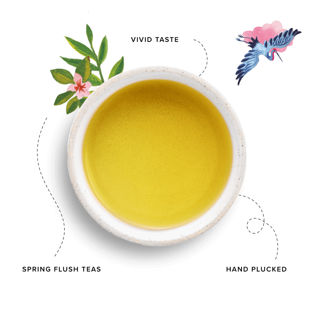 Japanese Sencha