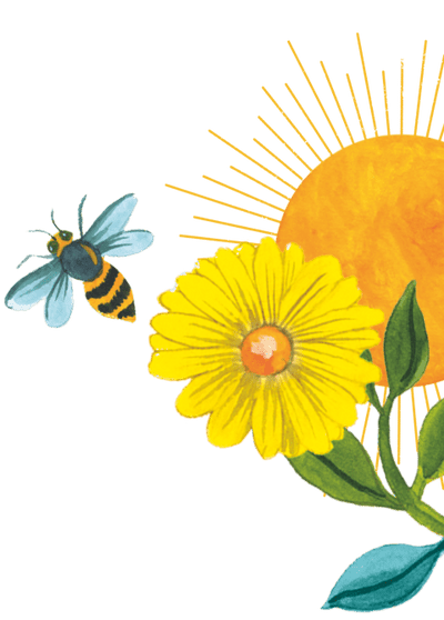 96° Chamomile Flower And Bee Illustration