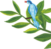 96°  blue bird illustration