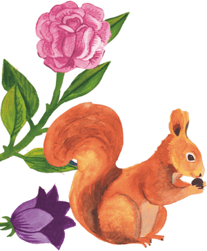 96°  squirrel illustration