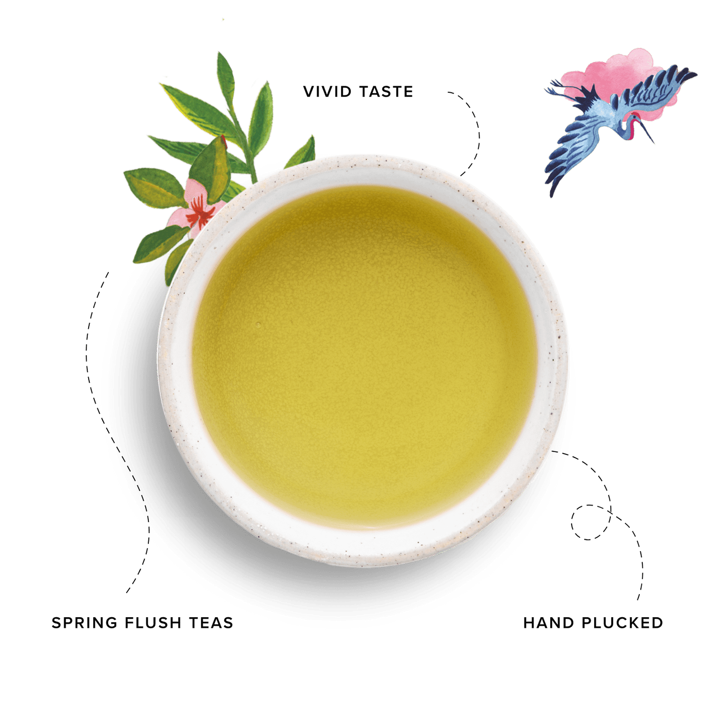 96° Japanese Sencha Tea Liquor Image