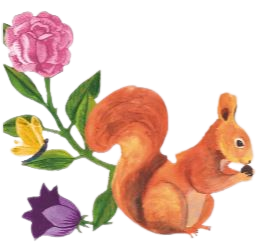 96° Squirrel Illustration