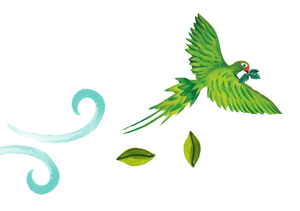 96° Green Parrot Illustration