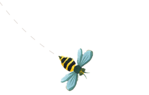 Honeybee illustration