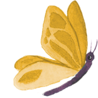 butterfly_illustration