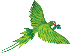 Parrot illustration